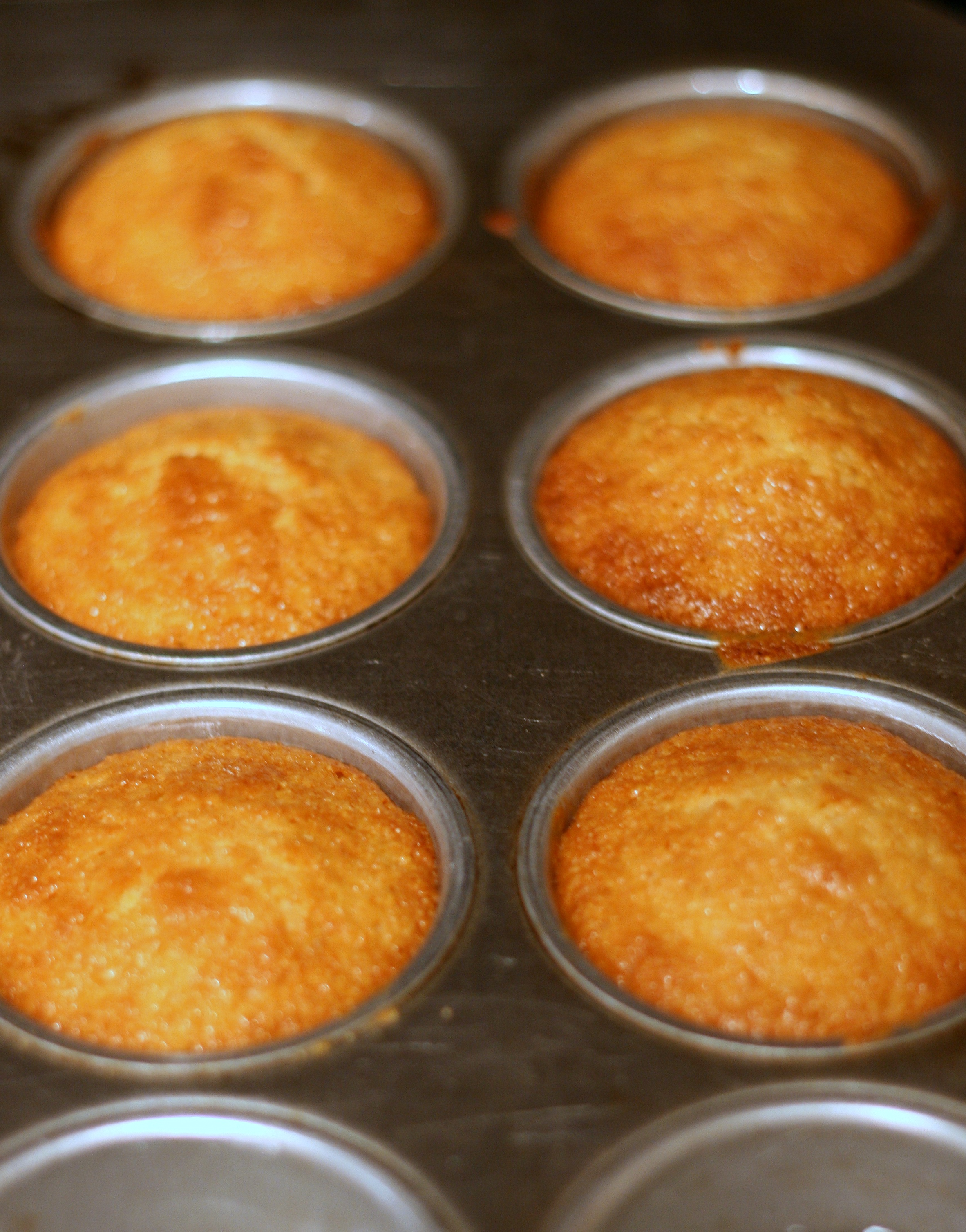 Sweet Cornbread Muffins 